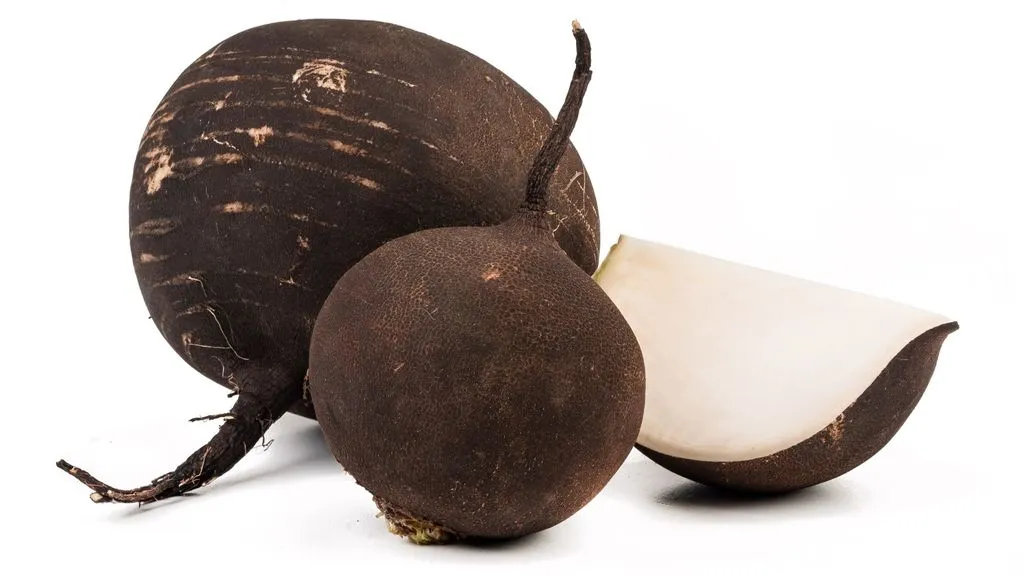 Descoperă beneficiile ridichei negre pentru sănătatea ta!